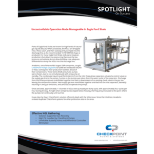Anadarko Spotlight on Success Rev02 copy